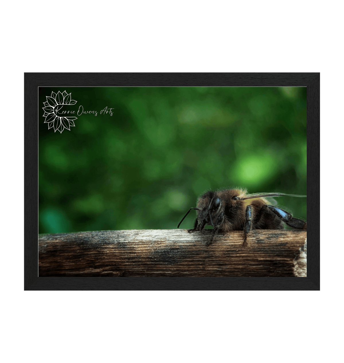 Black Frame Framed art print Front