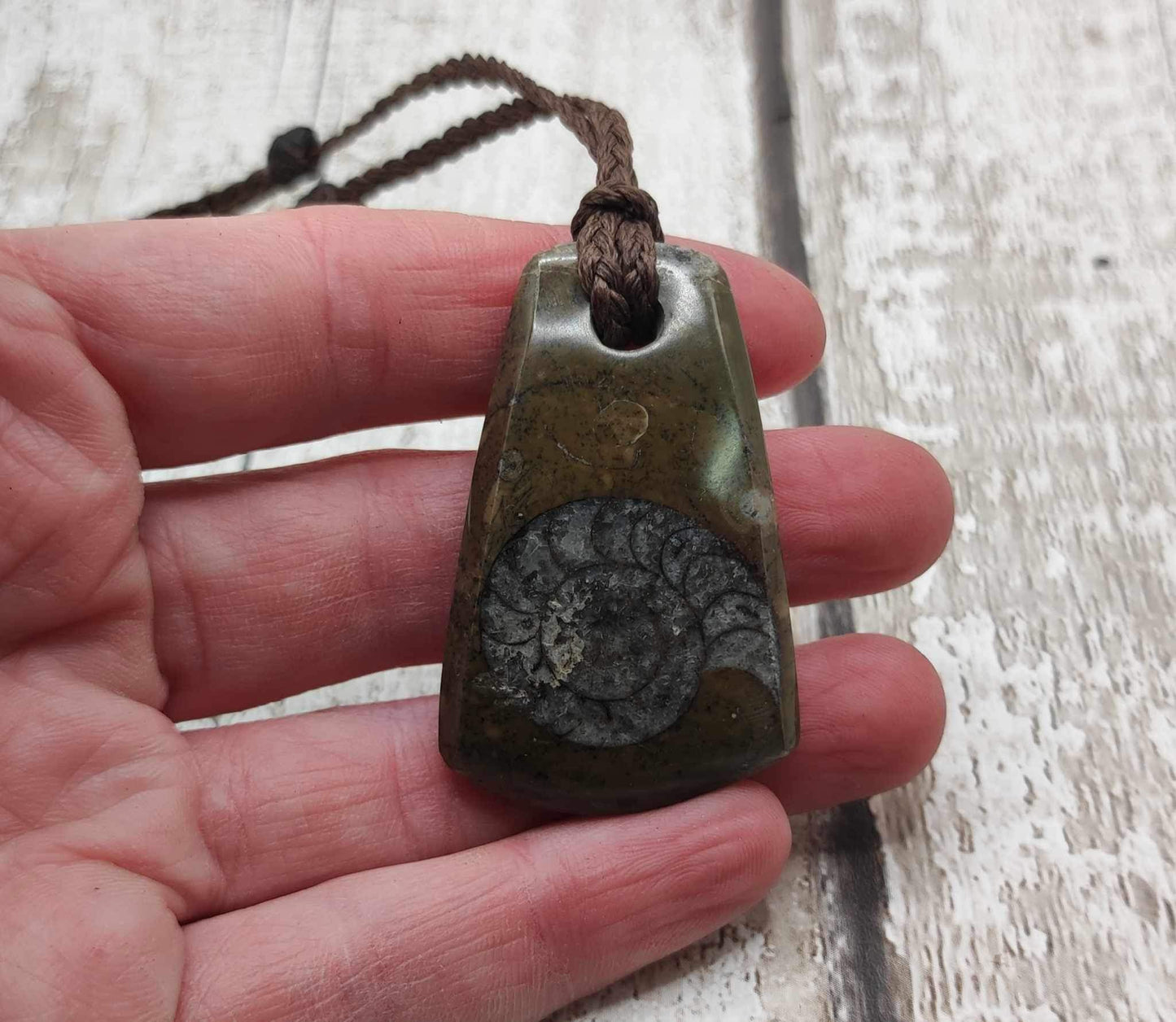 Goniatite ammonite Toki styled pendant.