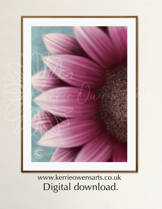 Right view pink sunflower illustration, digital download.