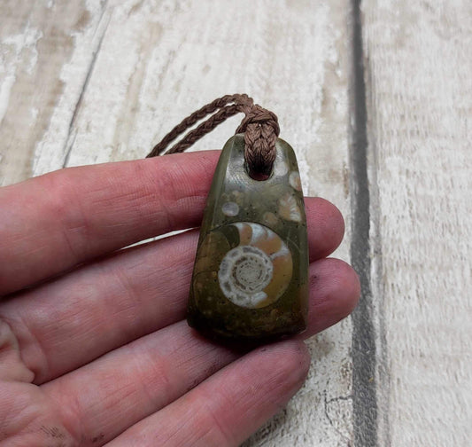 Goniatite ammonite Toki styled pendant.