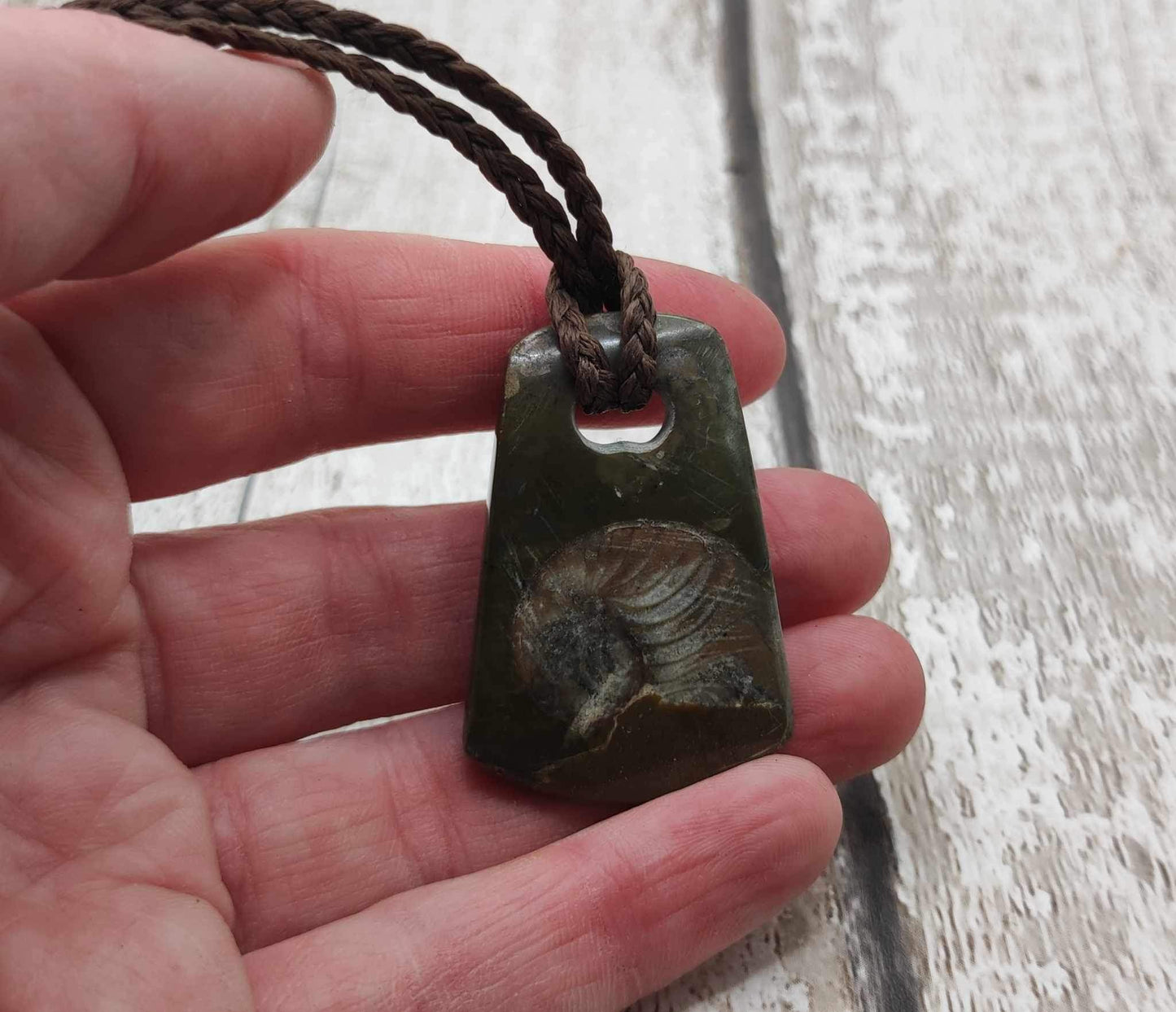 Goniatite ammonite Toki styled pendant.