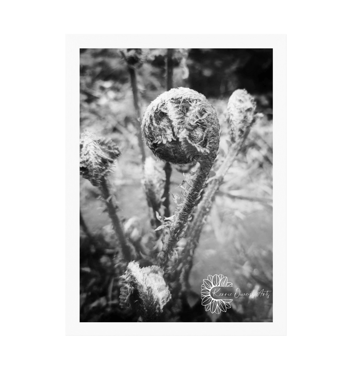 White Frame Framed art print Front