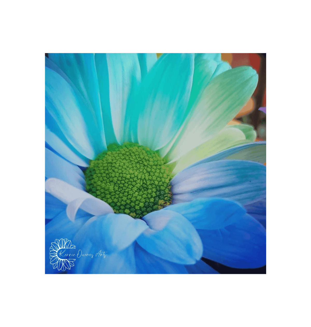 No Frame Framed art print Front