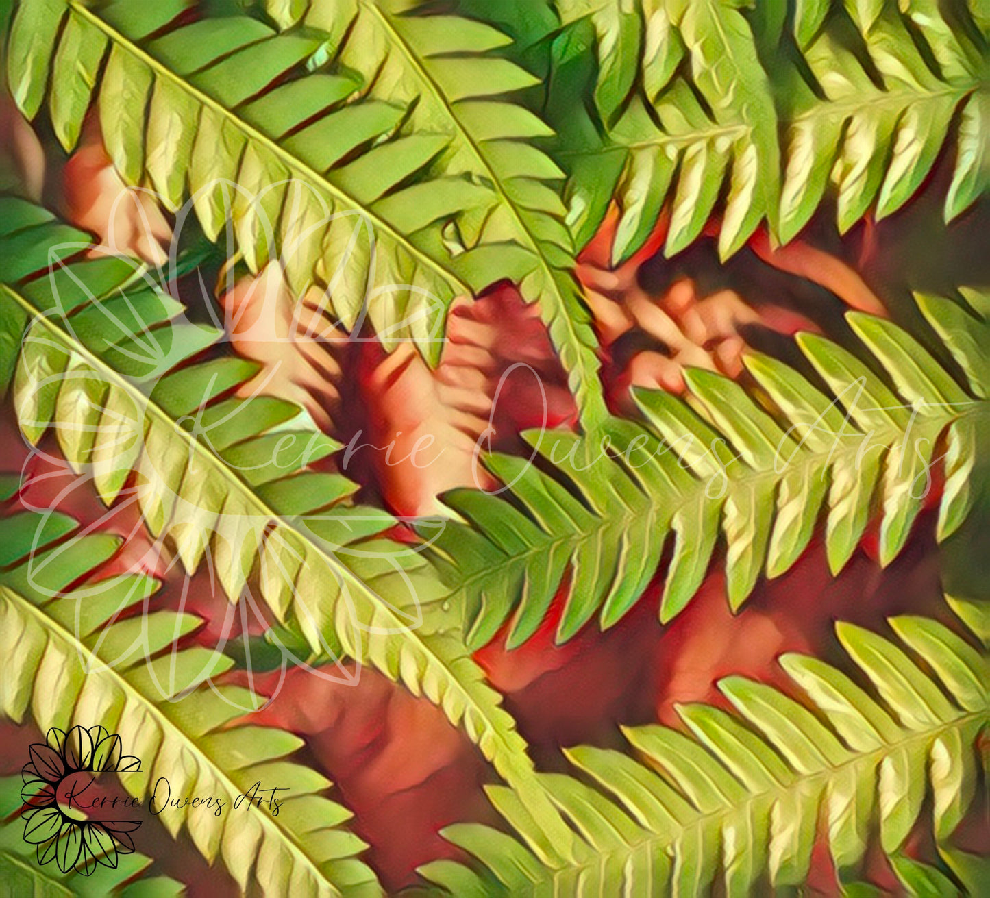 New Zealand ferns, photographic print, digital download.