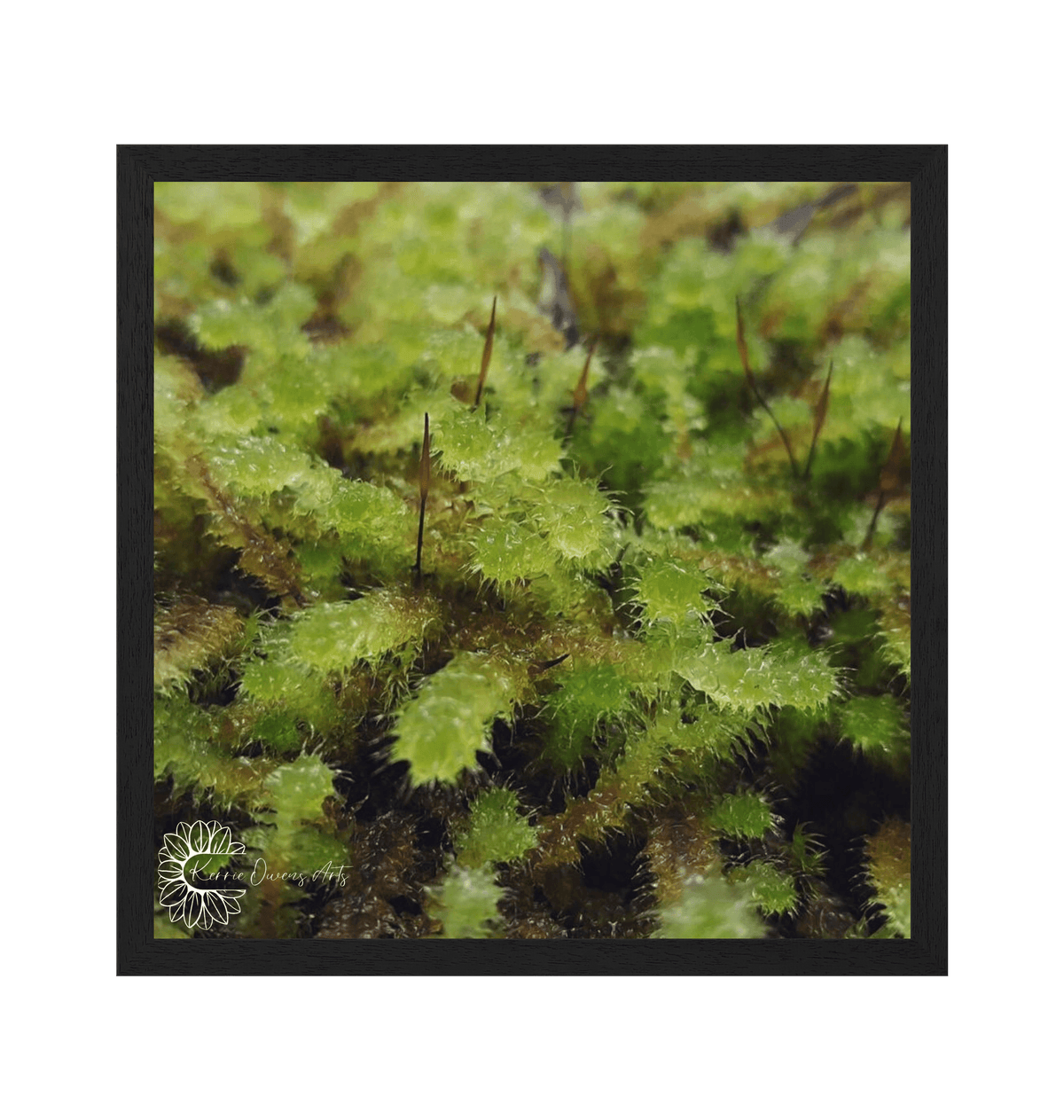 Black Frame Framed art print Front