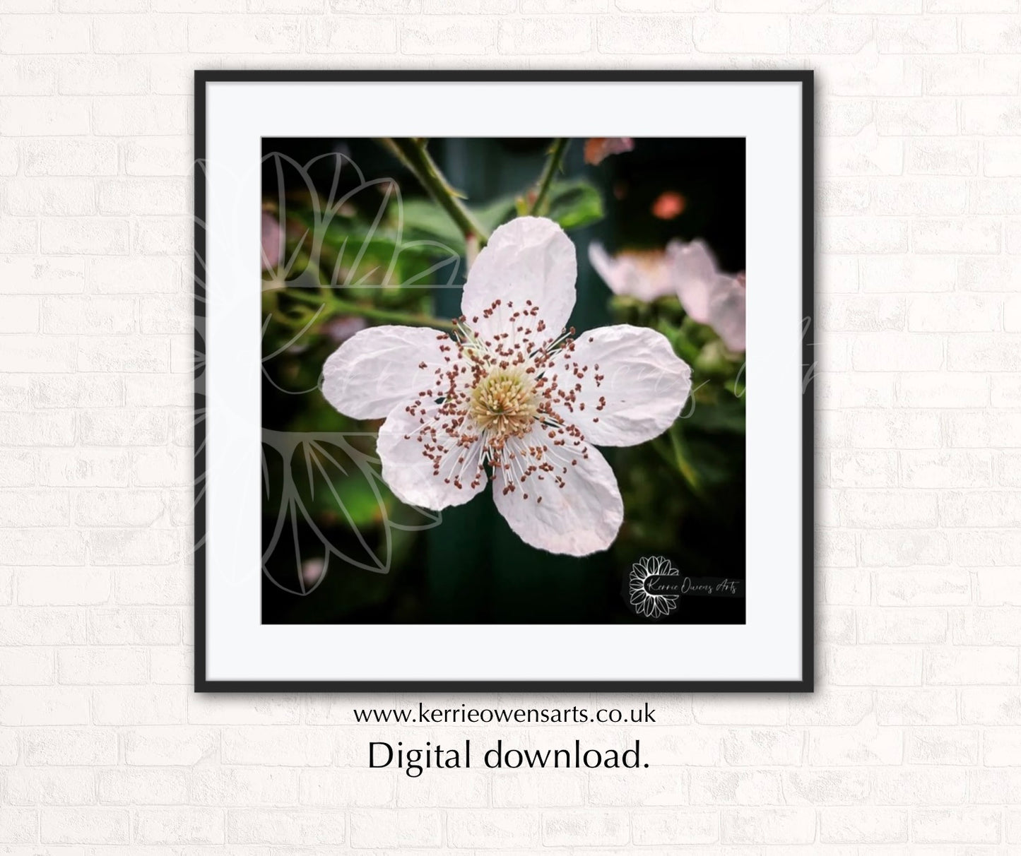 The blackberry flower photography print, digital download.