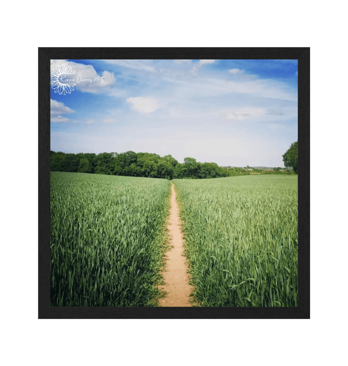 Black Frame Framed art print Front