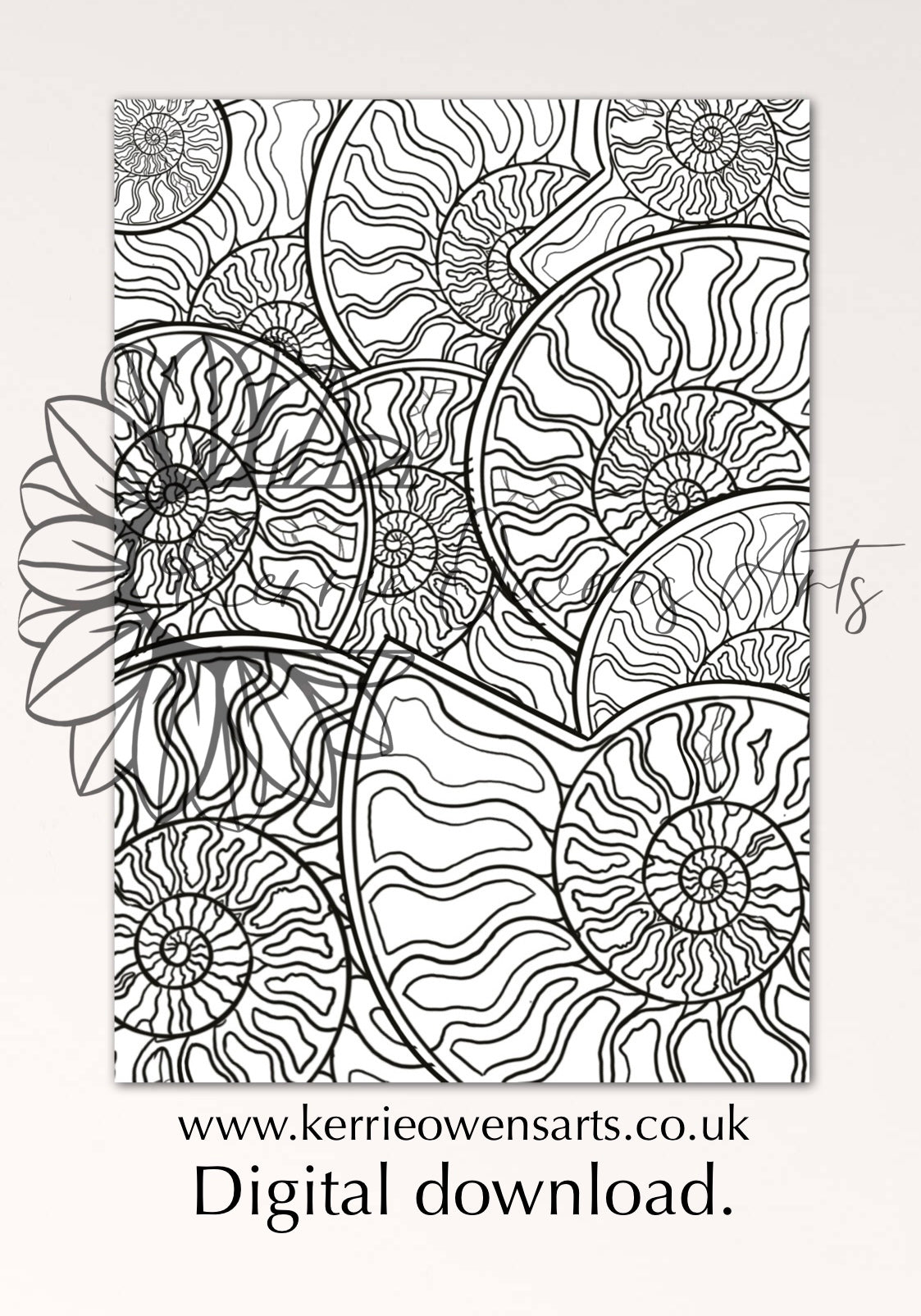 Ammonite fossil colouring in page, digital download.