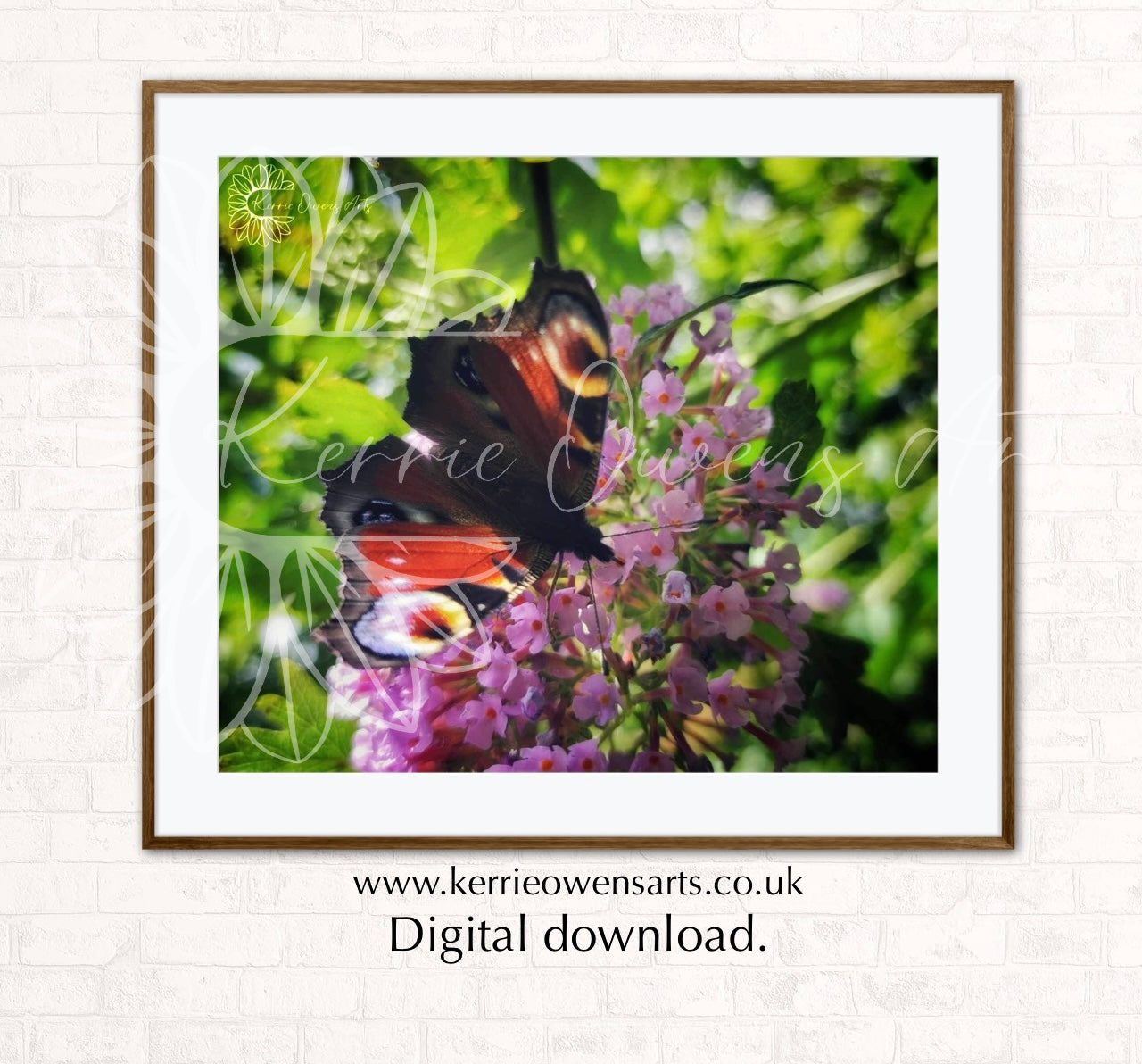 The peacock butterfly photographic print, digital download.