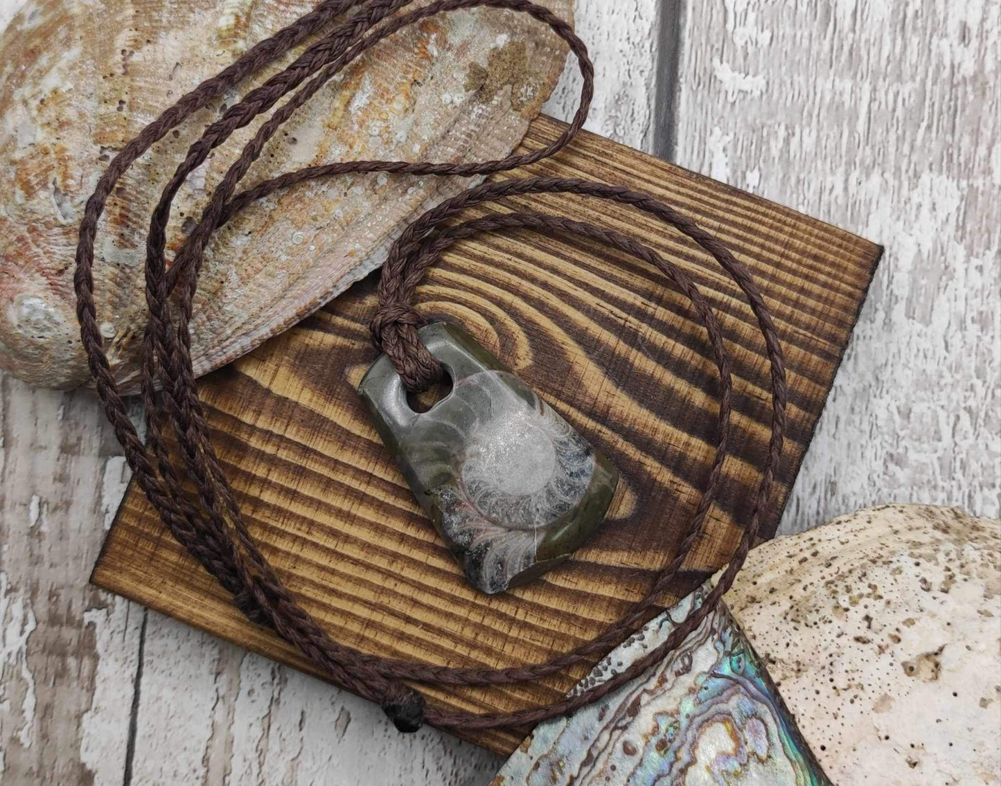 Goniatite ammonite Toki styled pendant.