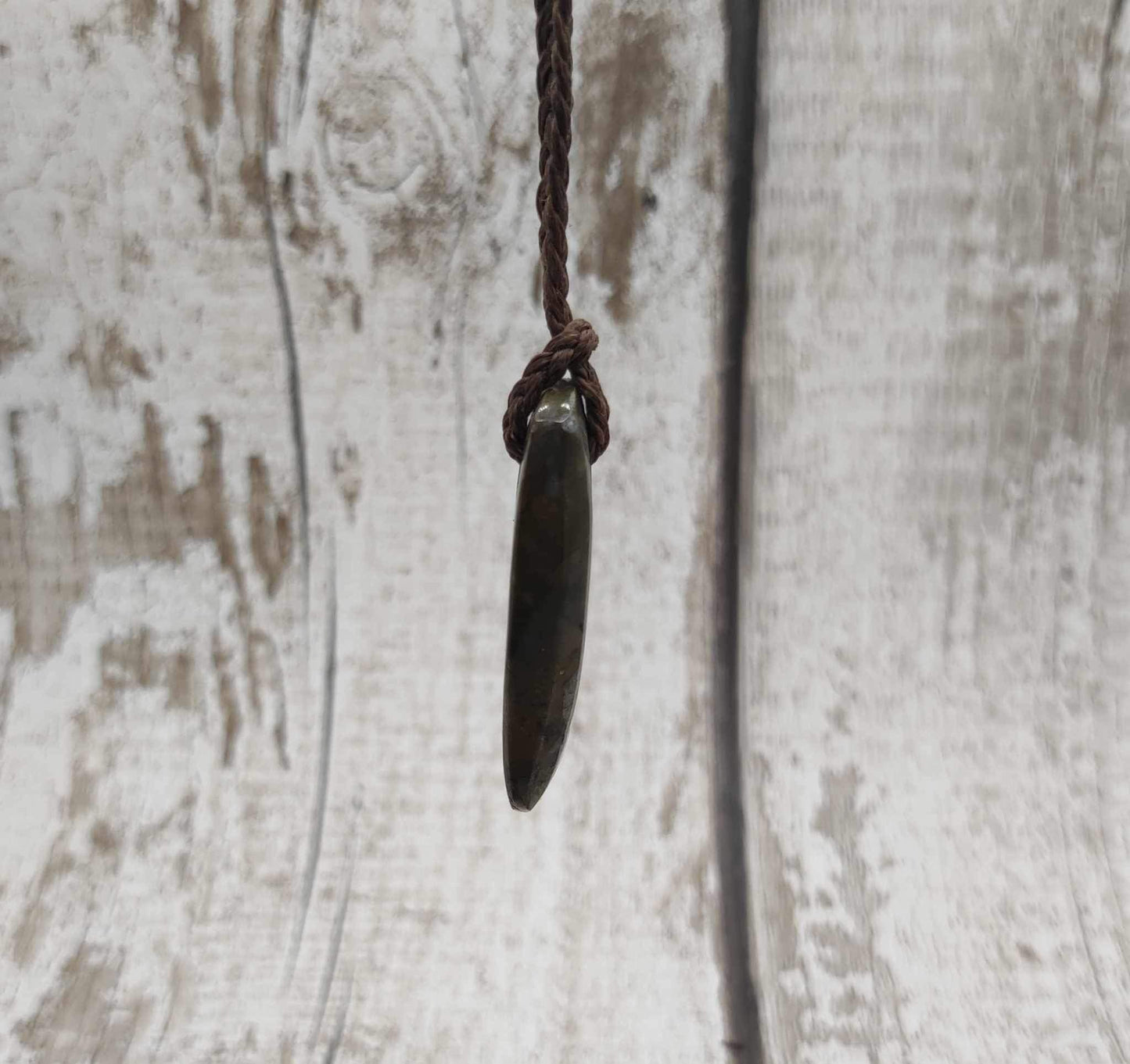 Goniatite ammonite Toki styled pendant.