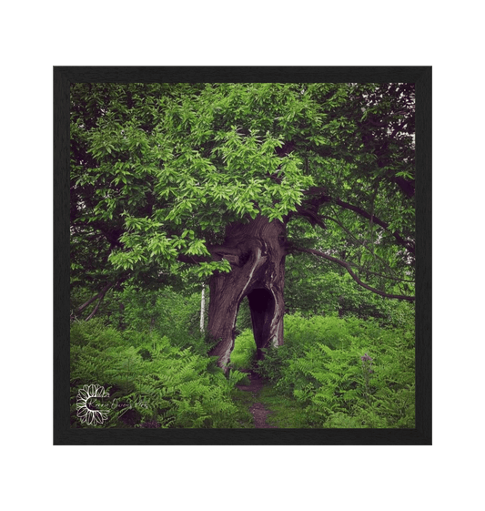 Black Frame Framed art print Front