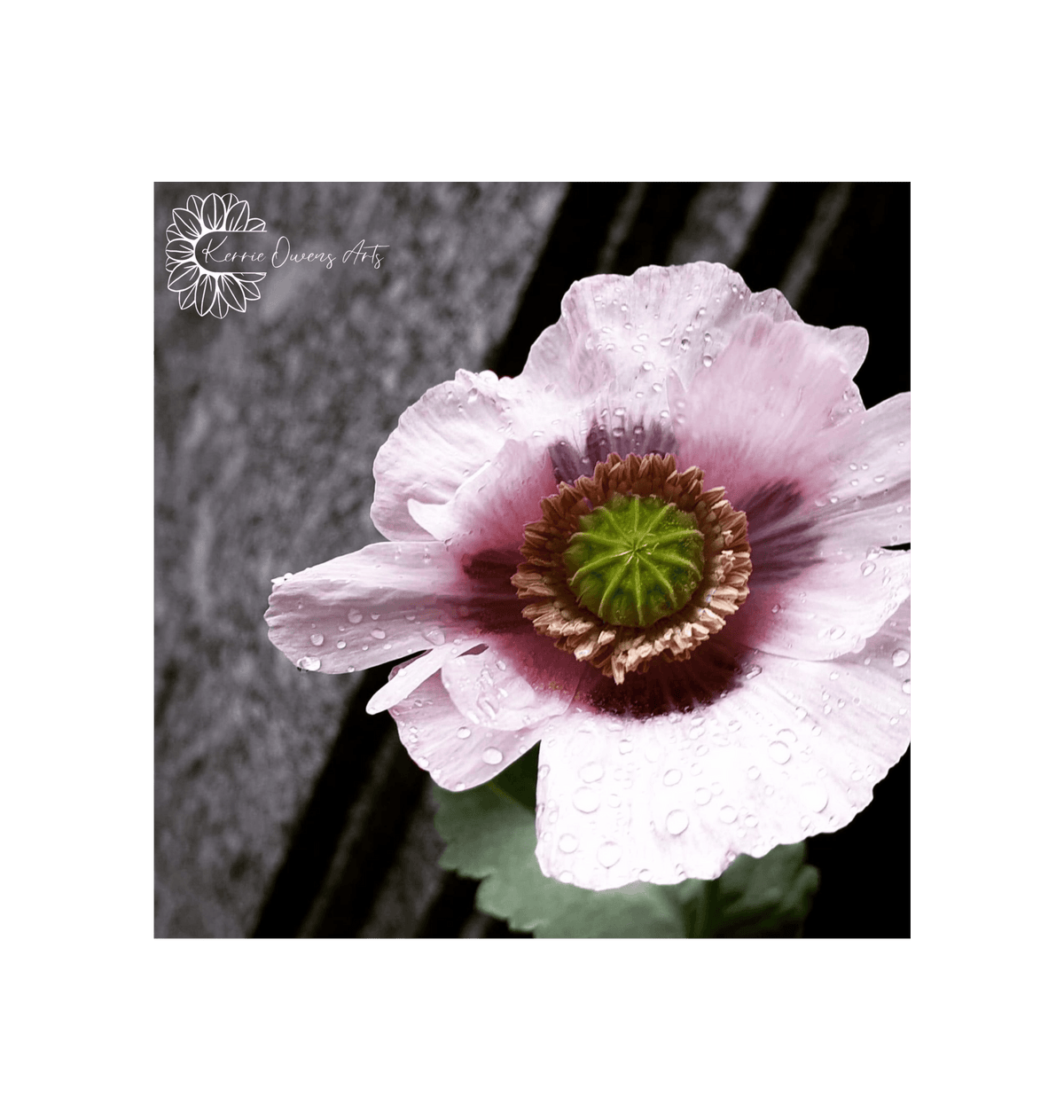 No Frame Framed art print Front