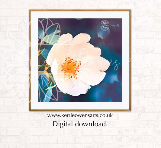 Wild rose edited photography, digital download.