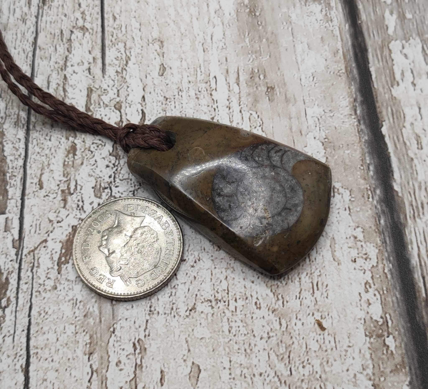 Goniatite ammonite Toki styled pendant.