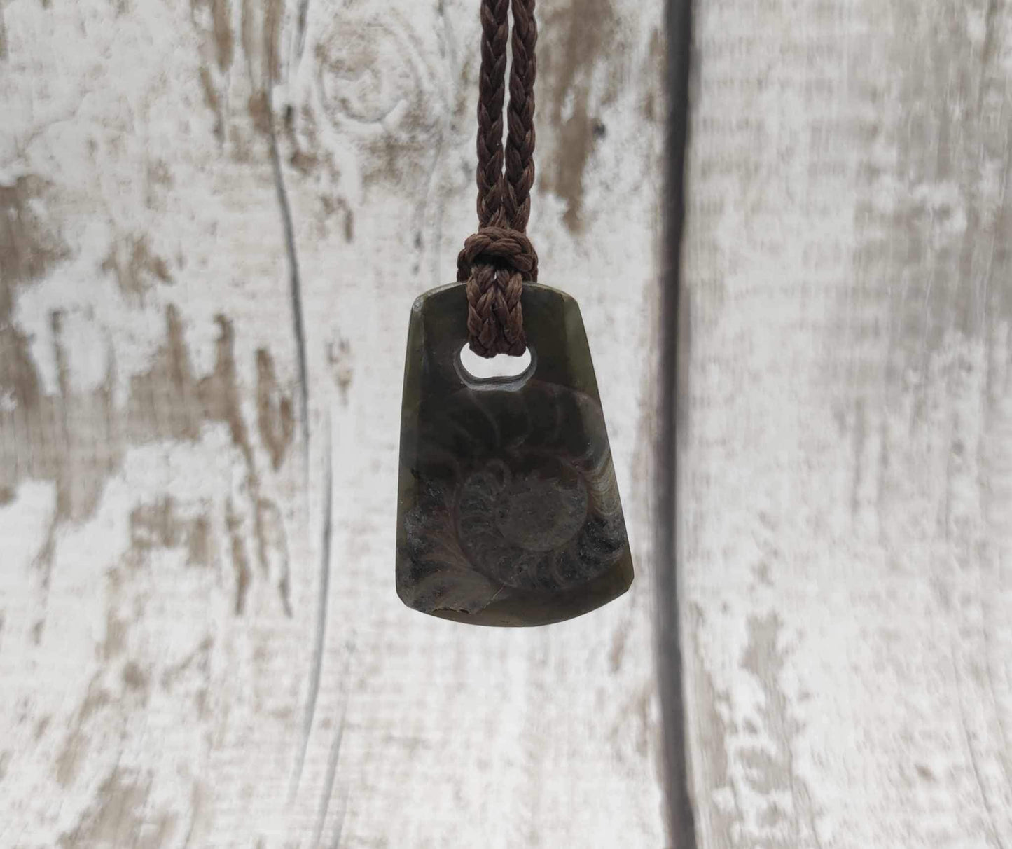 Goniatite ammonite Toki styled pendant.