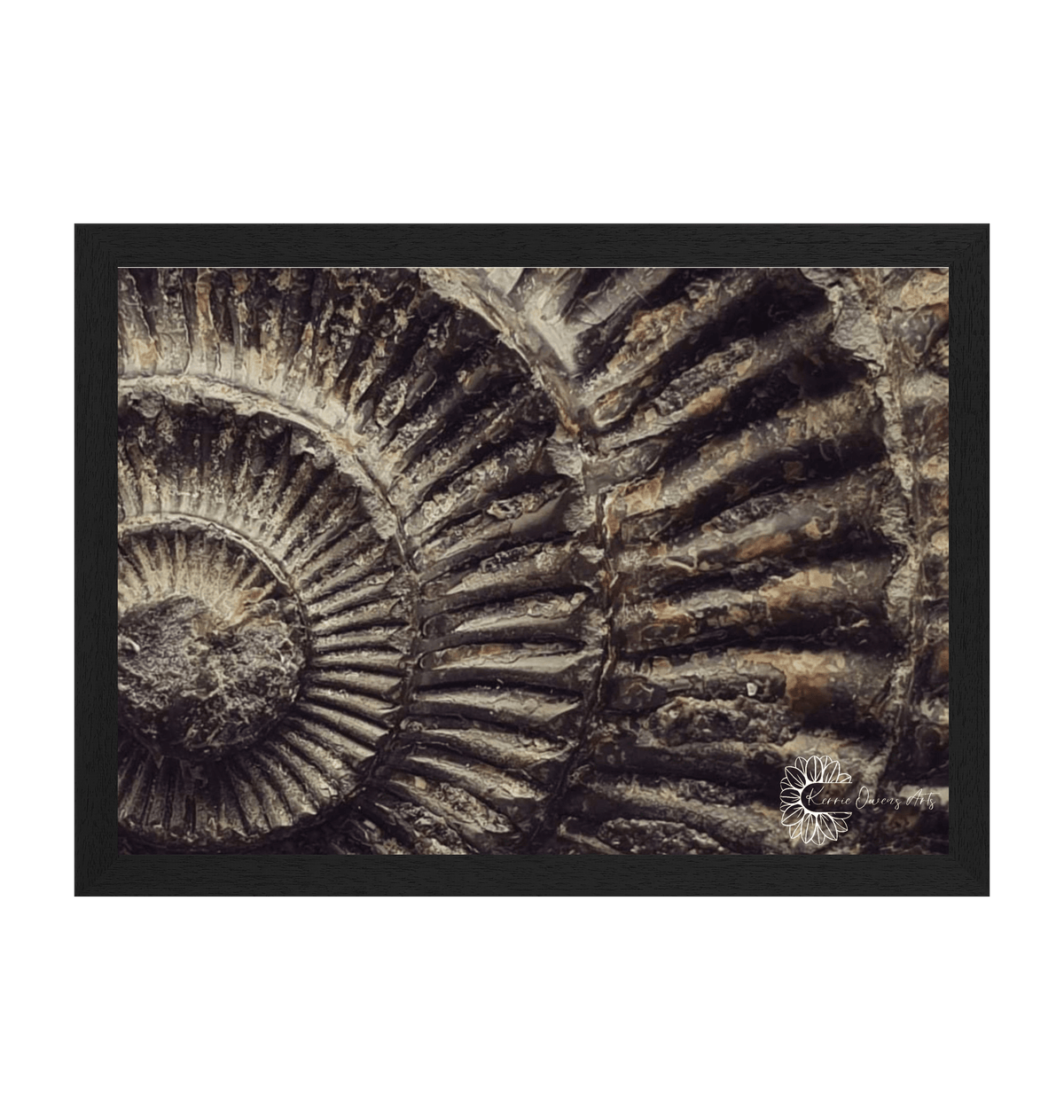 Black Frame Framed art print Front