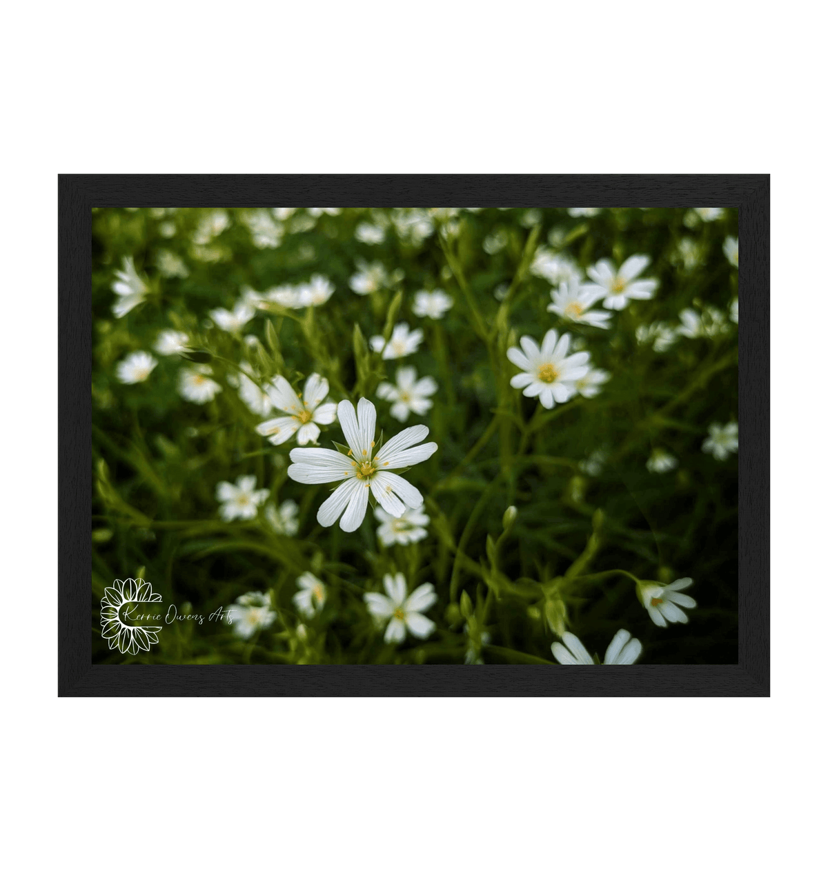 Black Frame Framed art print Front