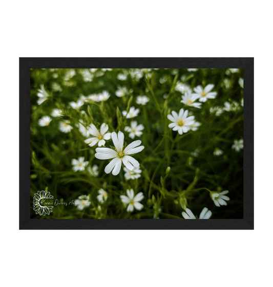 Black Frame Framed art print Front