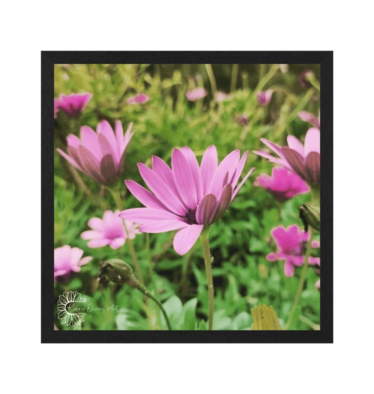 Black Frame Framed art print Front