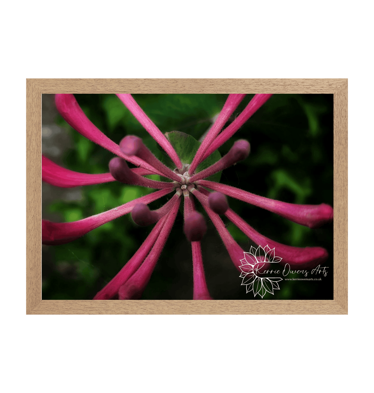 Natural Frame Framed art print Front