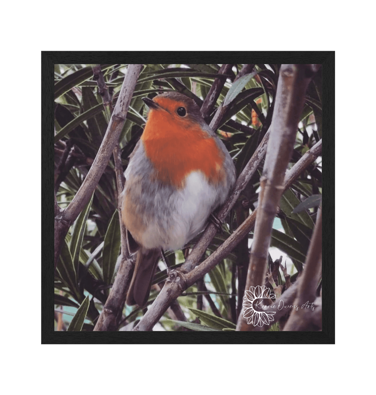 Black Frame Framed art print Front