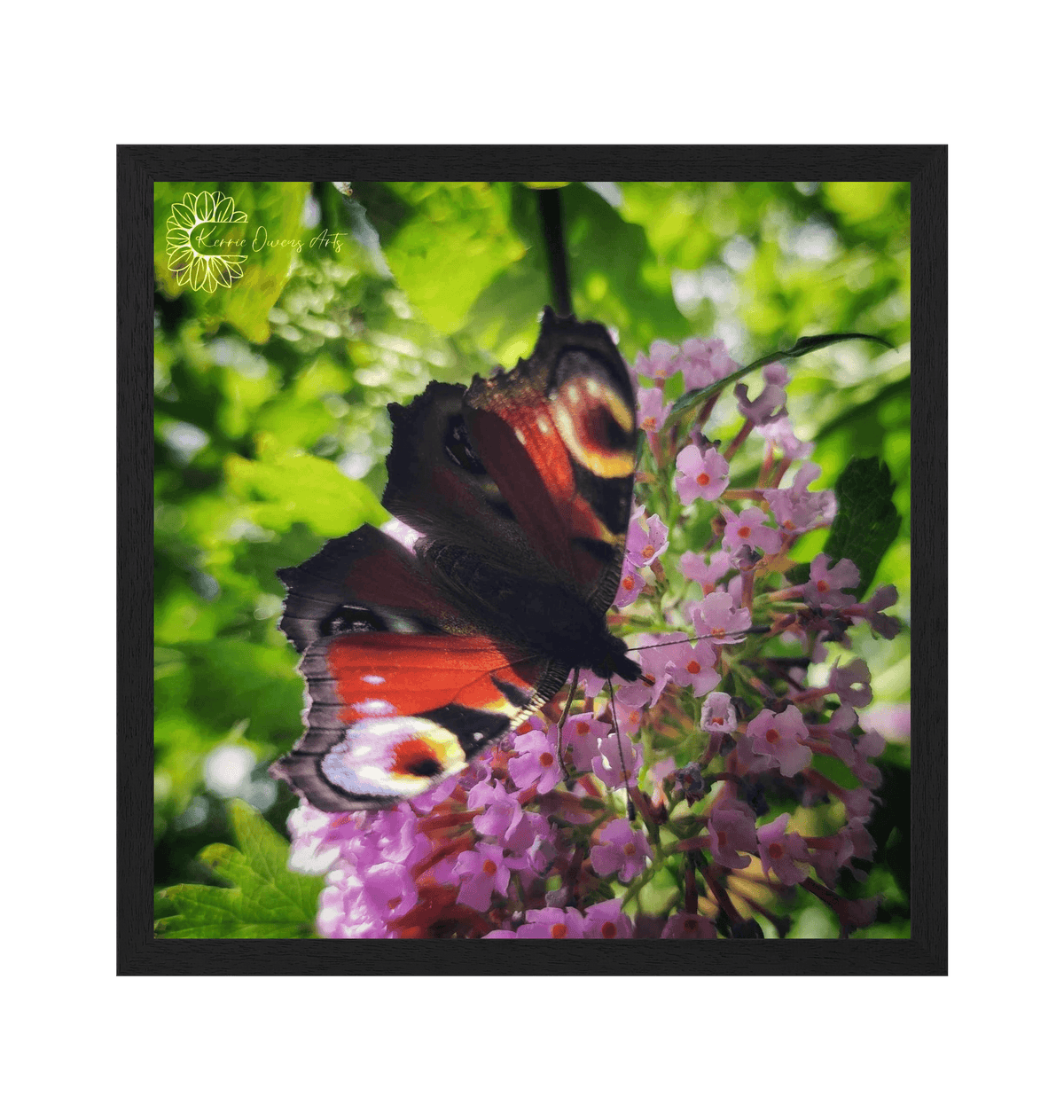 Black Frame Framed art print Front