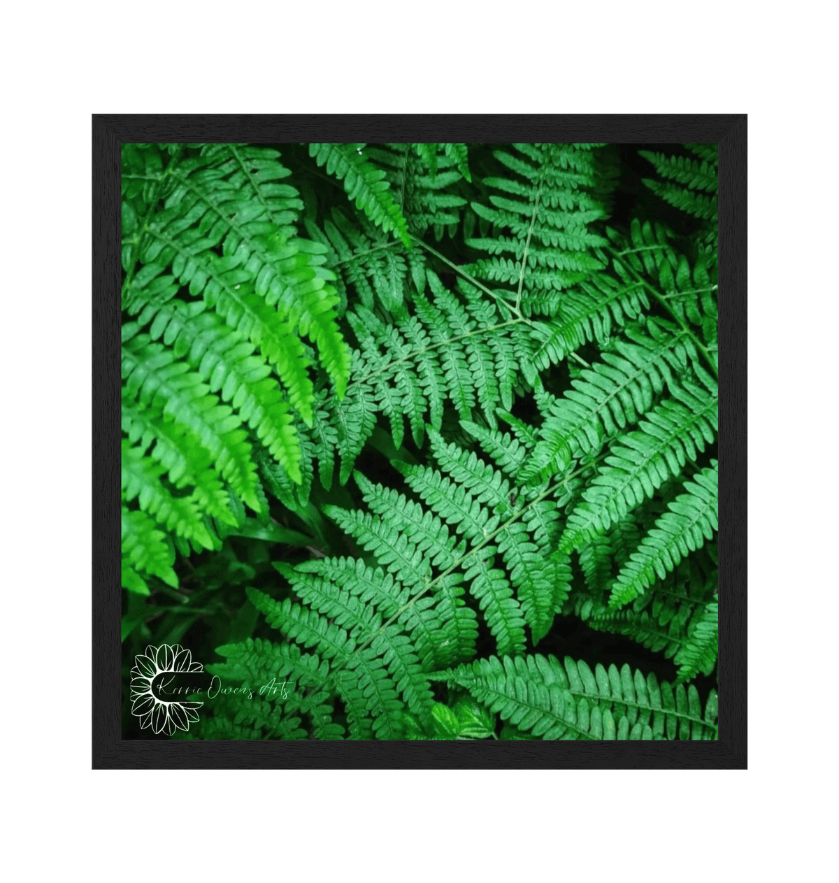Black Frame Framed art print Front