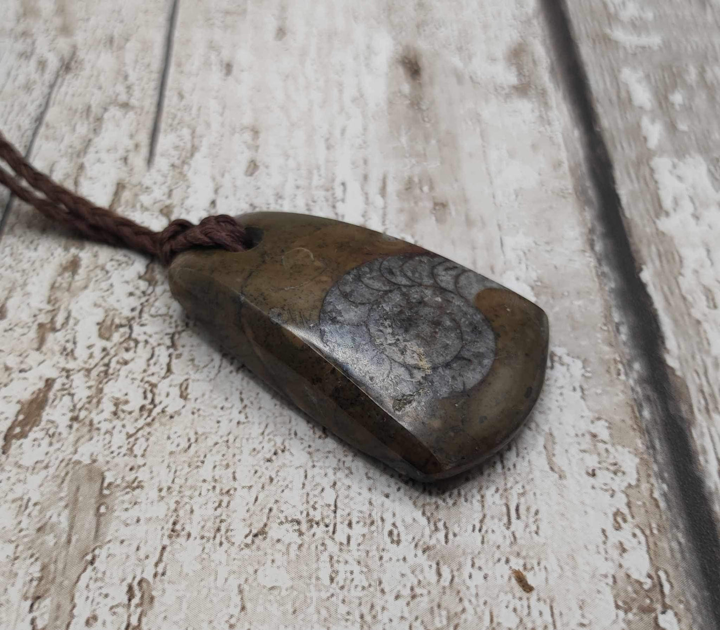 Goniatite ammonite Toki styled pendant.