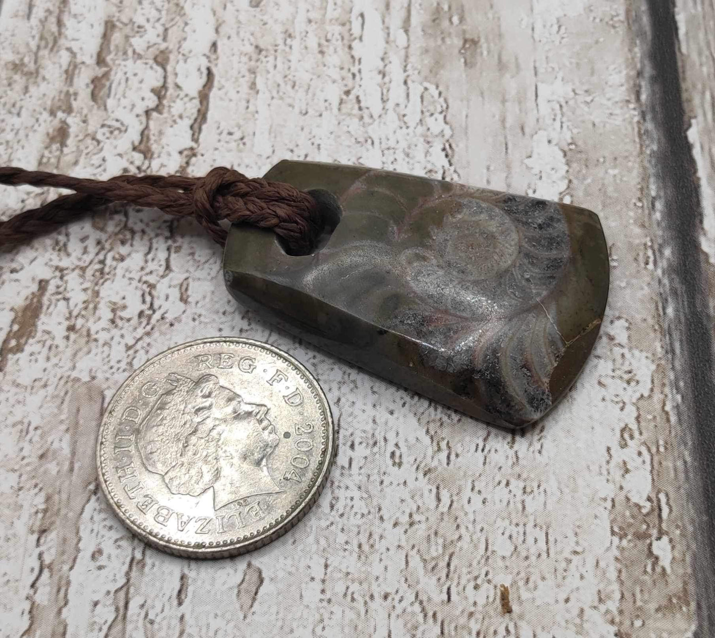 Goniatite ammonite Toki styled pendant.