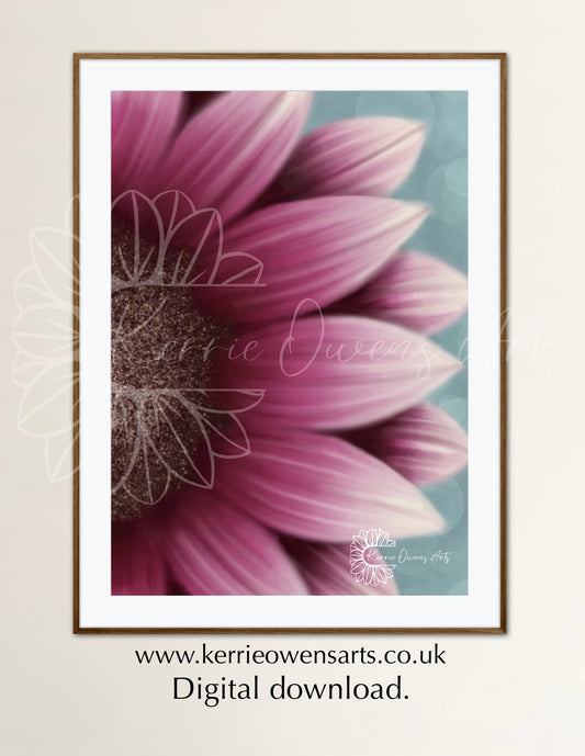 Right view pink sunflower illustration, digital download.