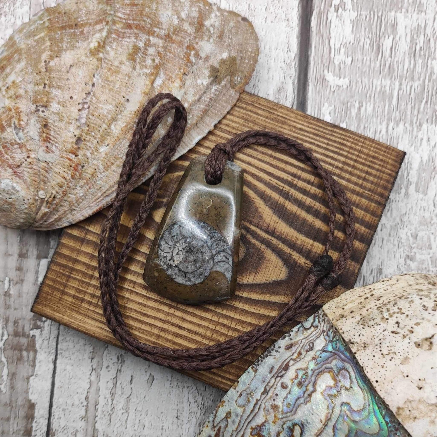 Goniatite ammonite Toki styled pendant.