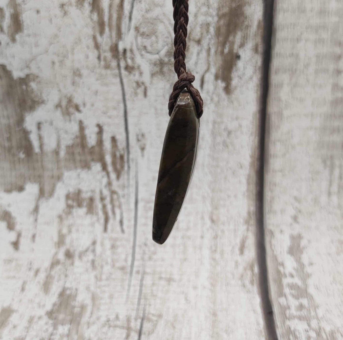 Goniatite ammonite Toki styled pendant.