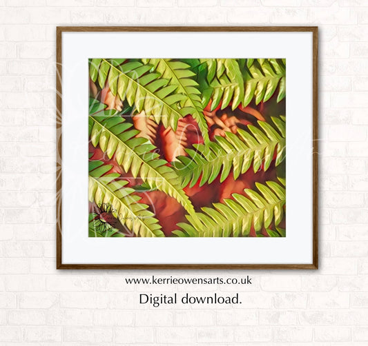 New Zealand ferns, photographic print, digital download.