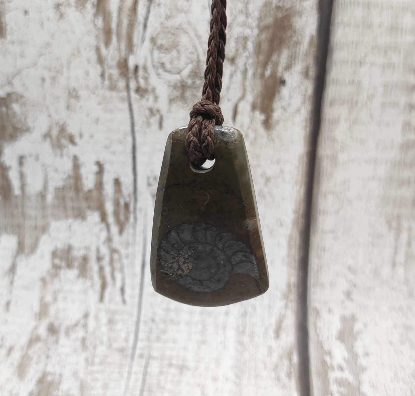 Goniatite ammonite Toki styled pendant.