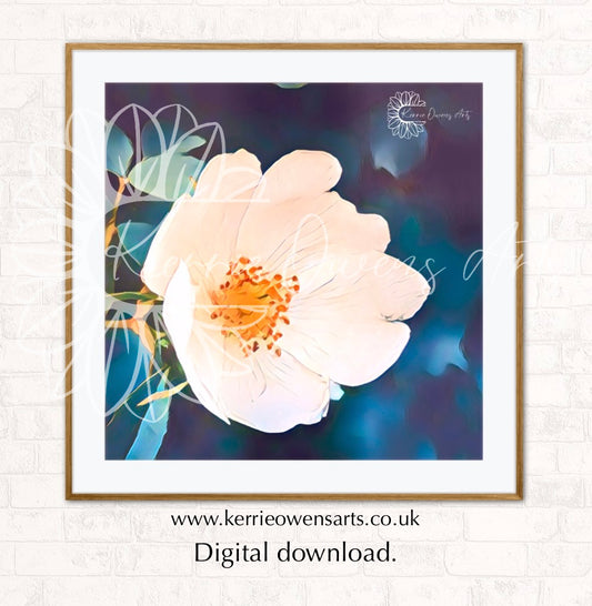 White wild rose photography print, digital download.