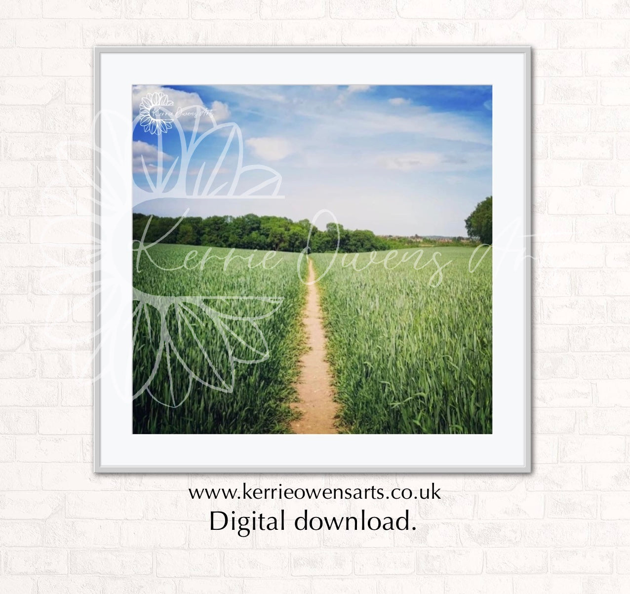 Ranscombe farm reserve photographic print, digital download.