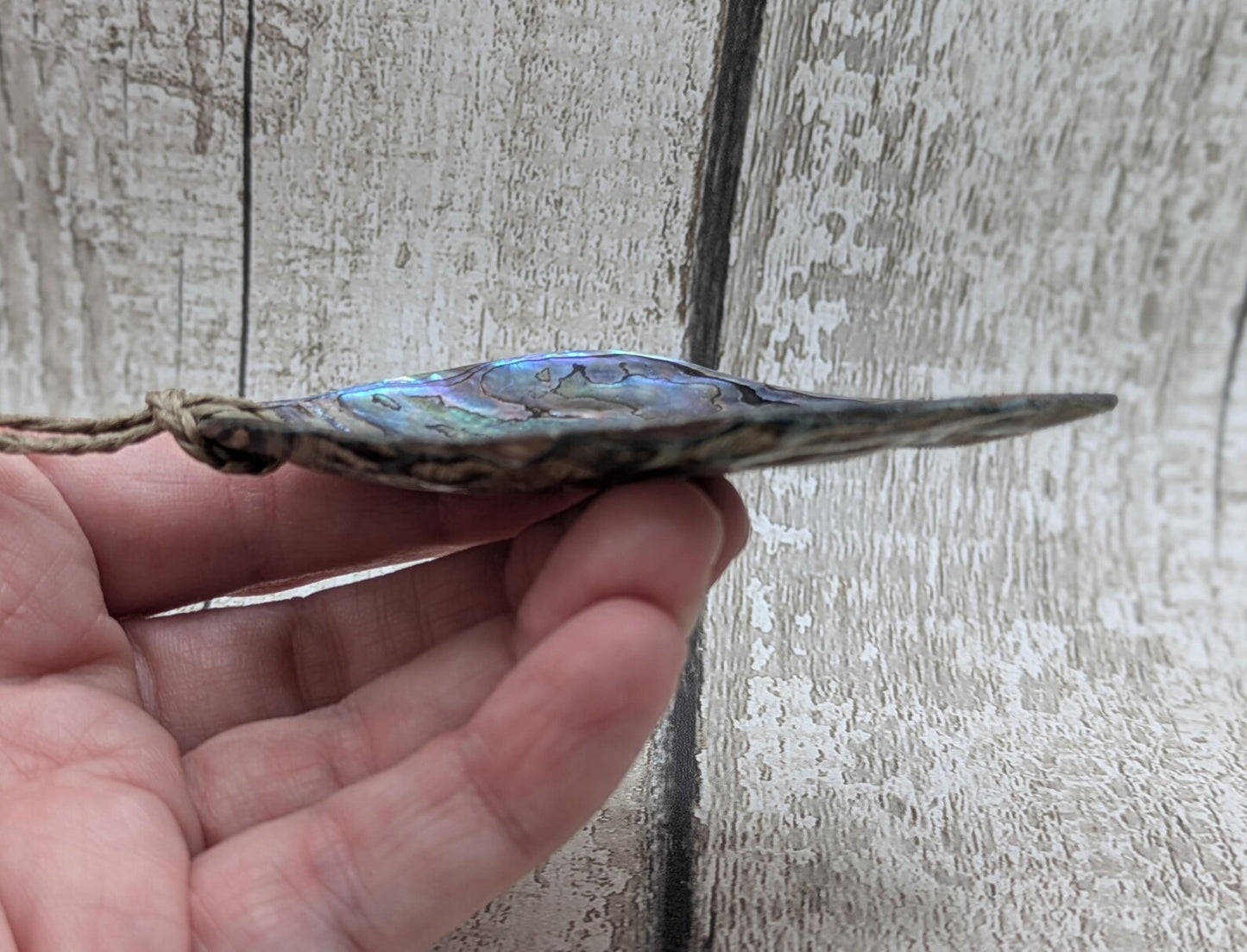 Large Freeform NZ Pāua Shell Pendant – Iridescent Abalone Statement Necklace, Natural statement Beach Jewellery.