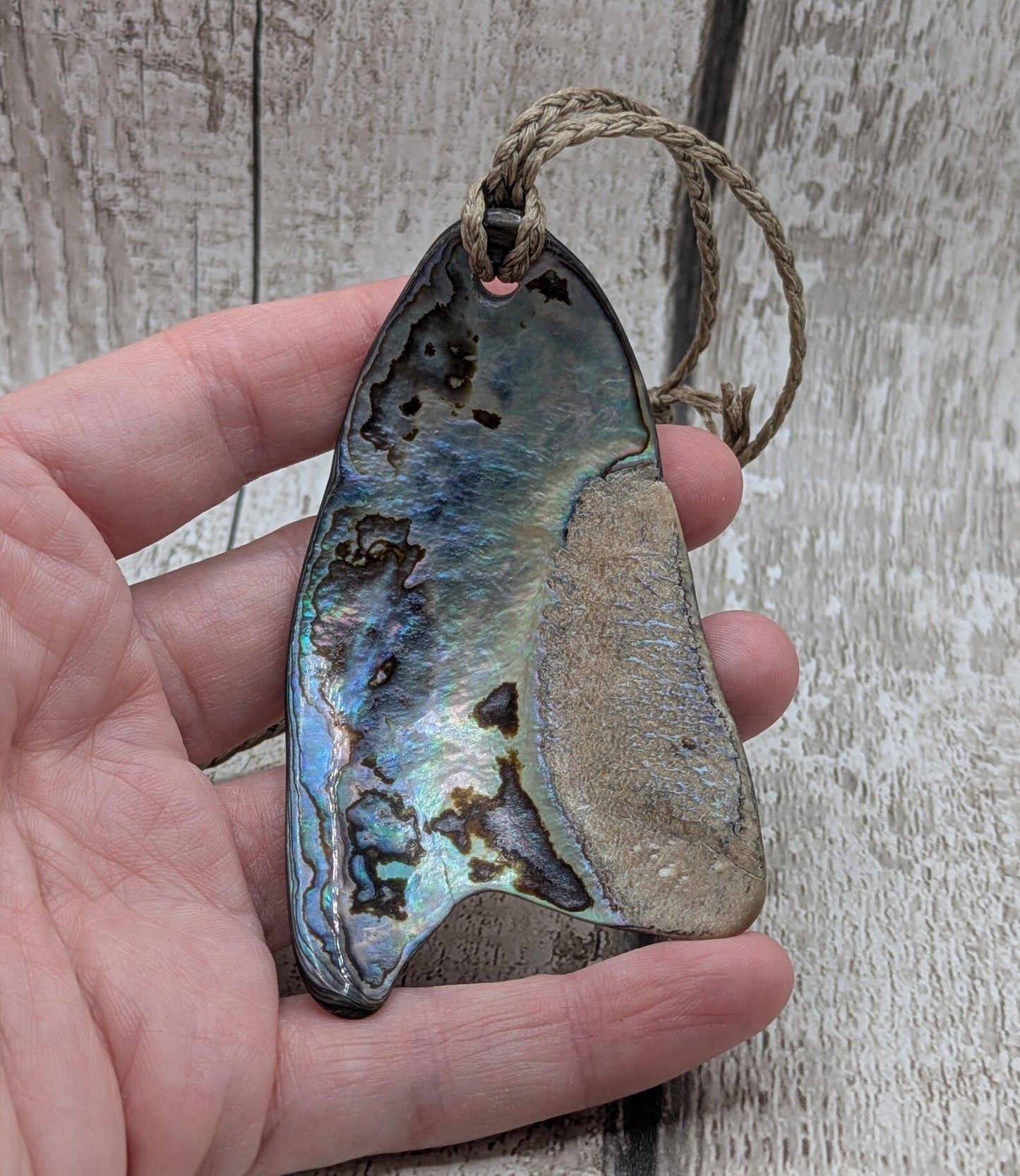 Large Freeform NZ Pāua Shell Pendant – Iridescent Abalone Statement Necklace, Natural statement Beach Jewellery.