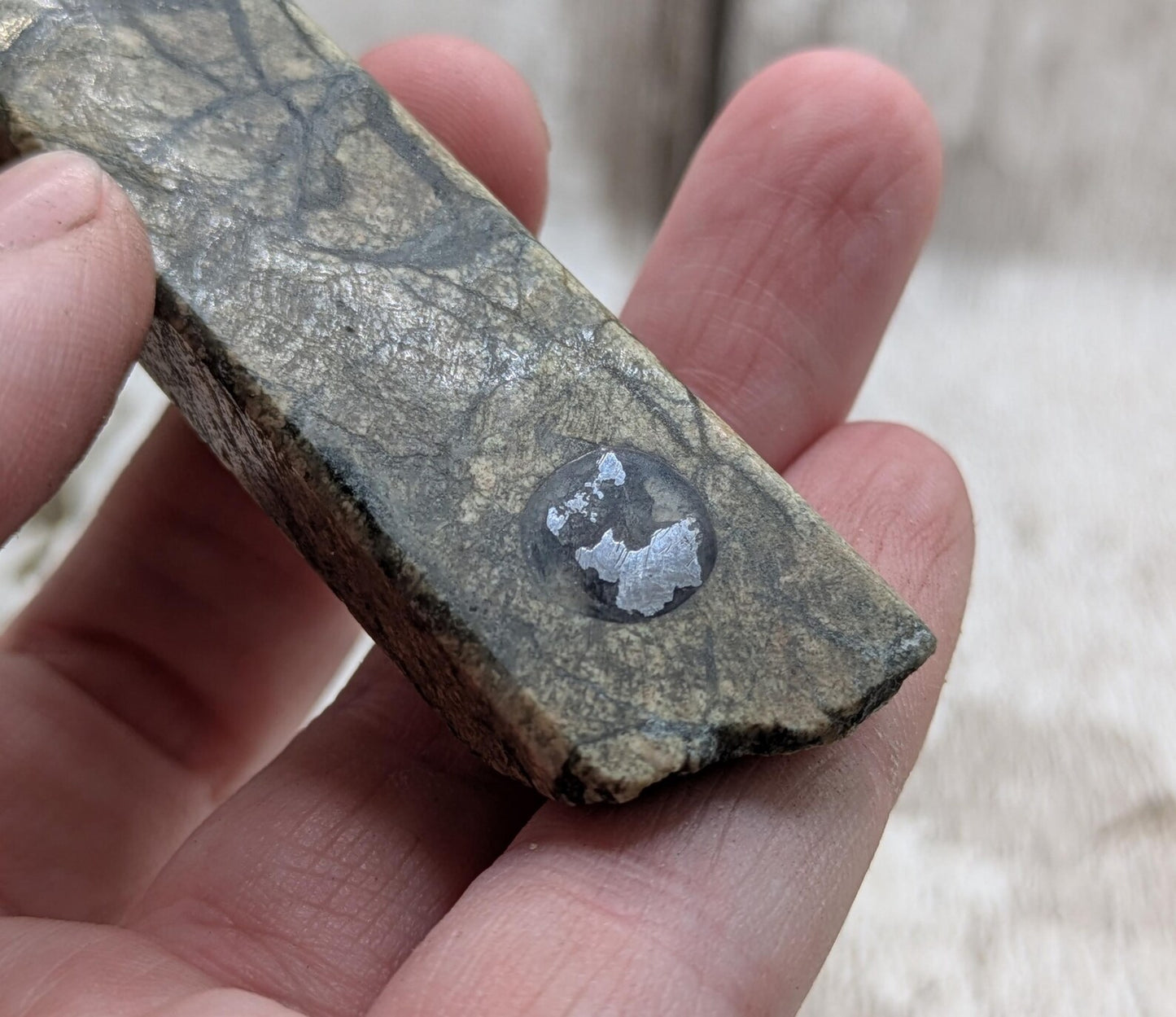Impactite pendant with mixed tektites and meteorite specimen.