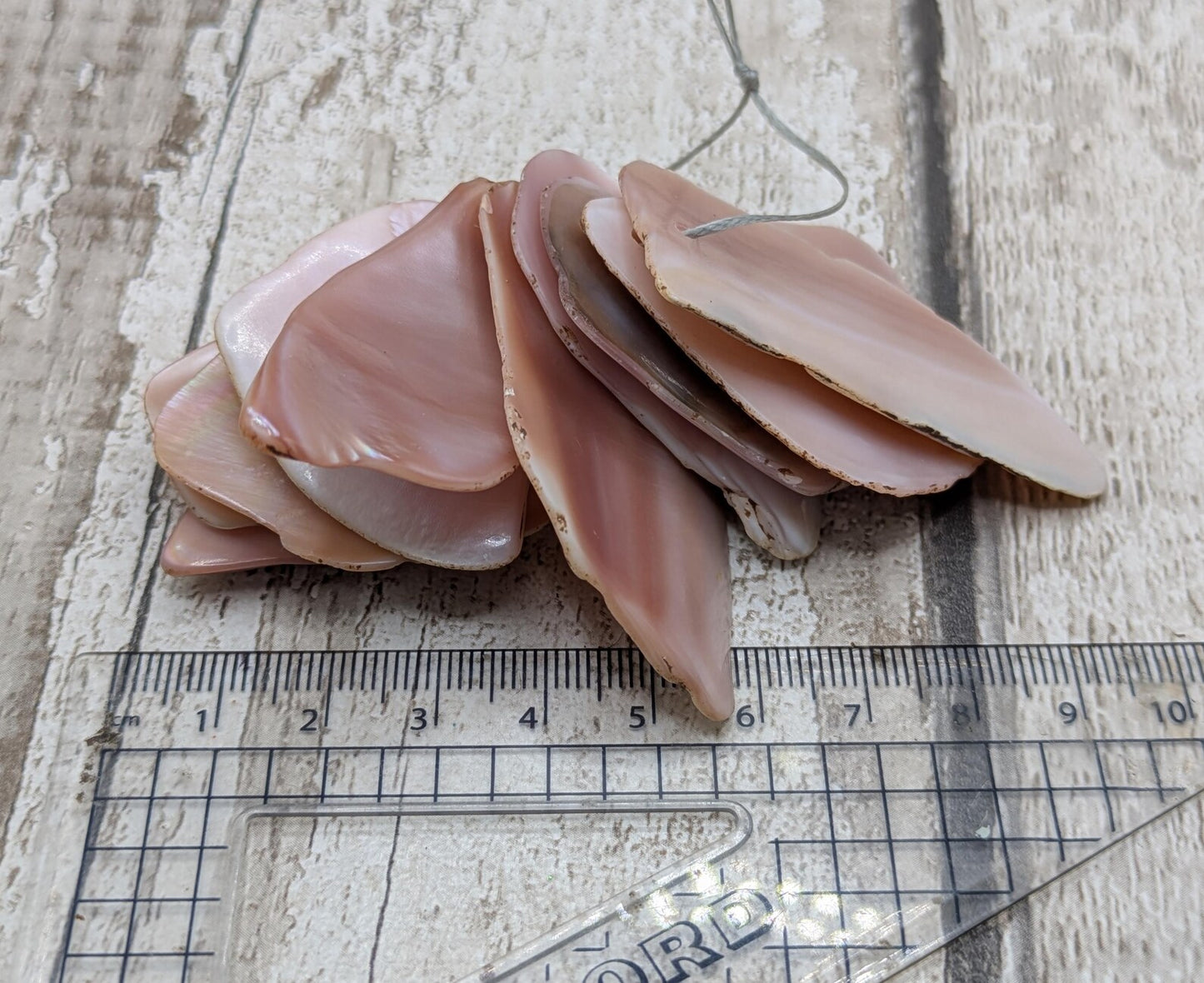 10 New Zealand Freshwater Mussel Shell Pendant Beads, Tumbled, Drilled & Polished, Natural Iridescent, Pearlescent Craft Beads for Jewellery