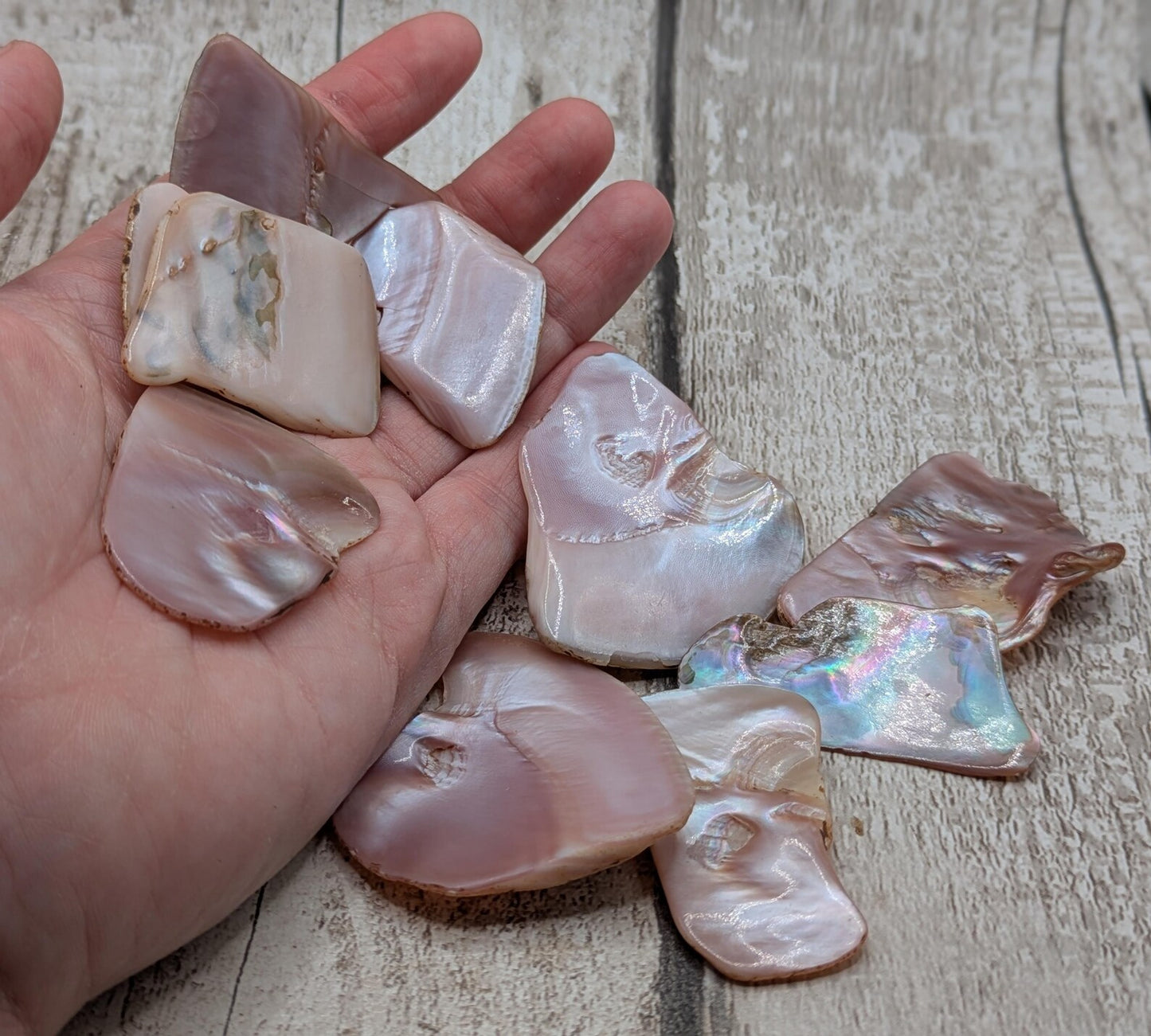 1 medium naturally tumble polished New Zealand pink freshwater mussel shell piece