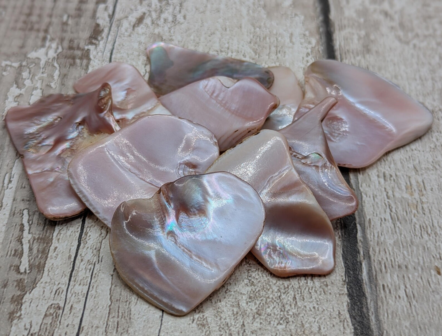 1 medium naturally tumble polished New Zealand pink freshwater mussel shell piece