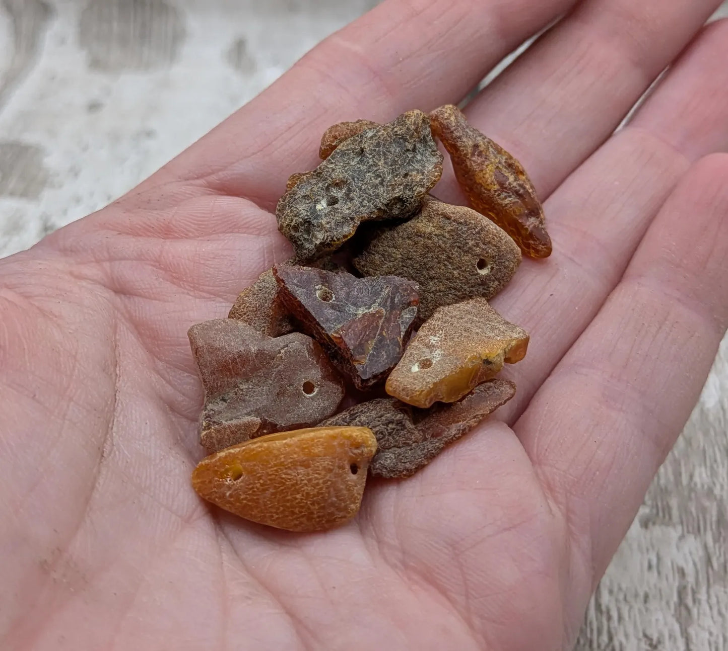 Raw natural top drilled Baltic Amber beads.