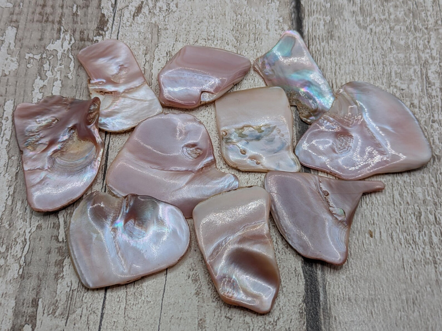 1 medium naturally tumble polished New Zealand pink freshwater mussel shell piece