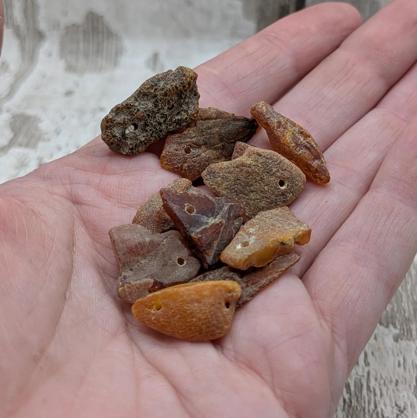 Raw natural top drilled Baltic Amber beads.