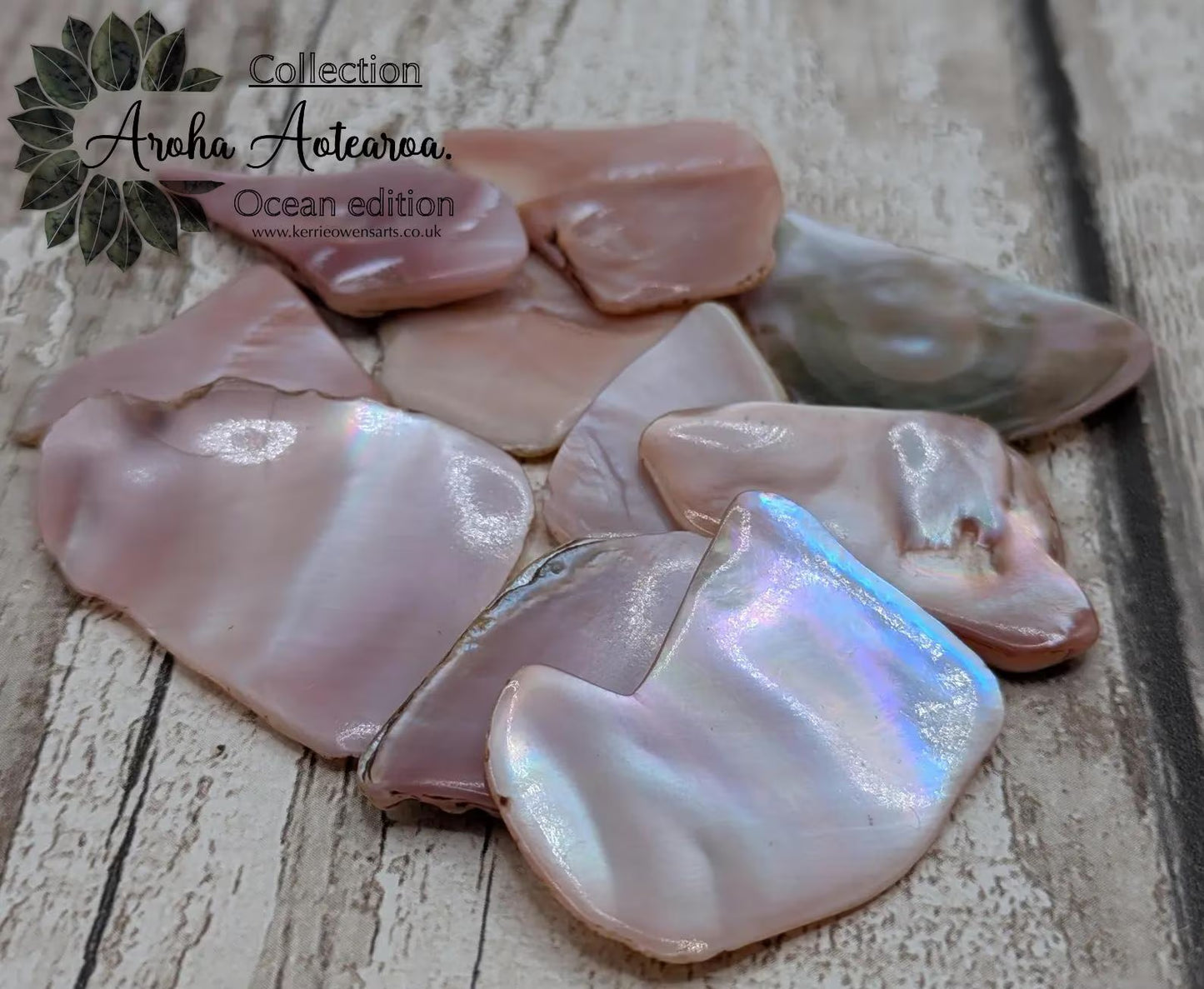 1 large naturally tumbled New Zealand pink freshwater mussel piece.