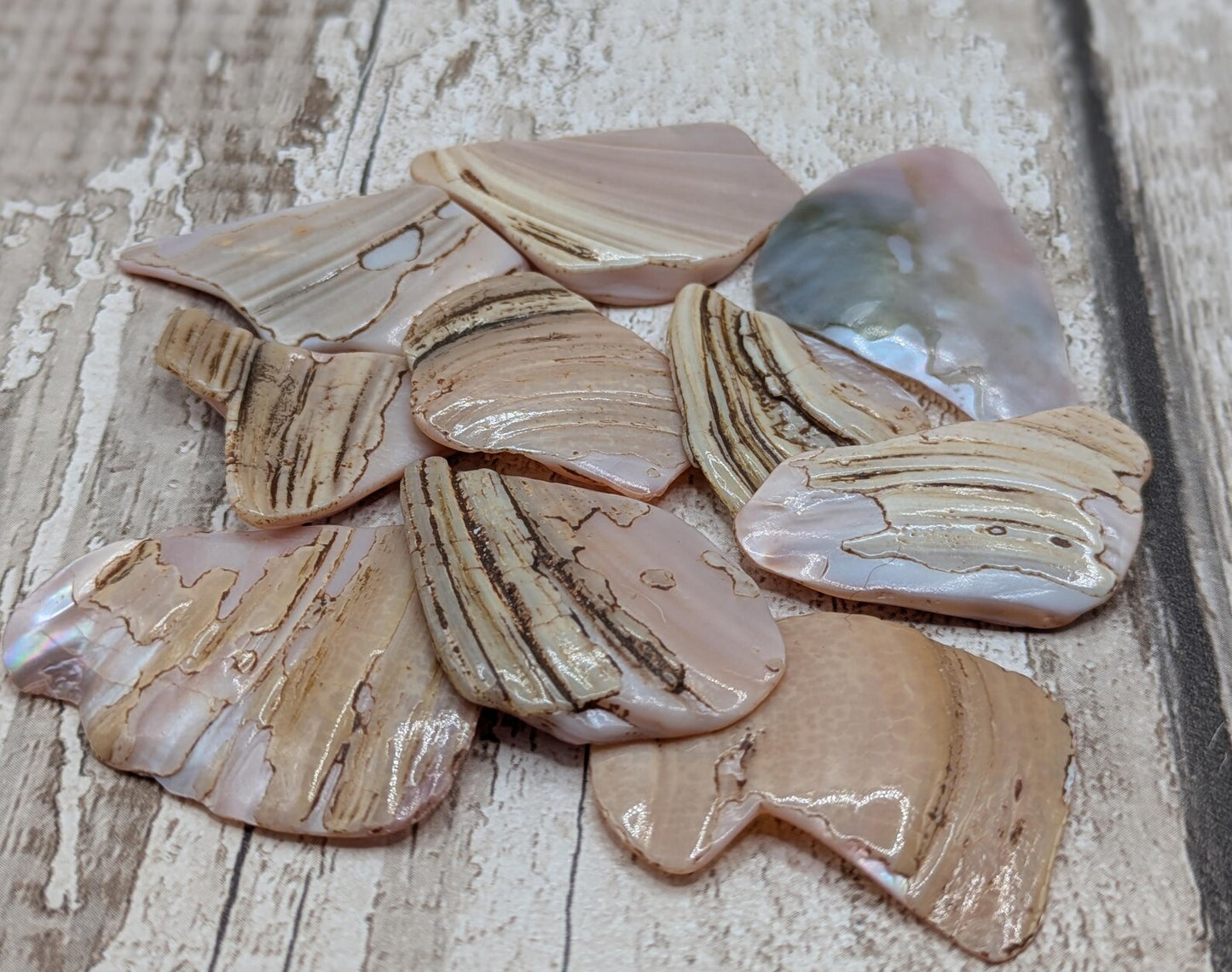1 large naturally tumbled New Zealand pink freshwater mussel piece.