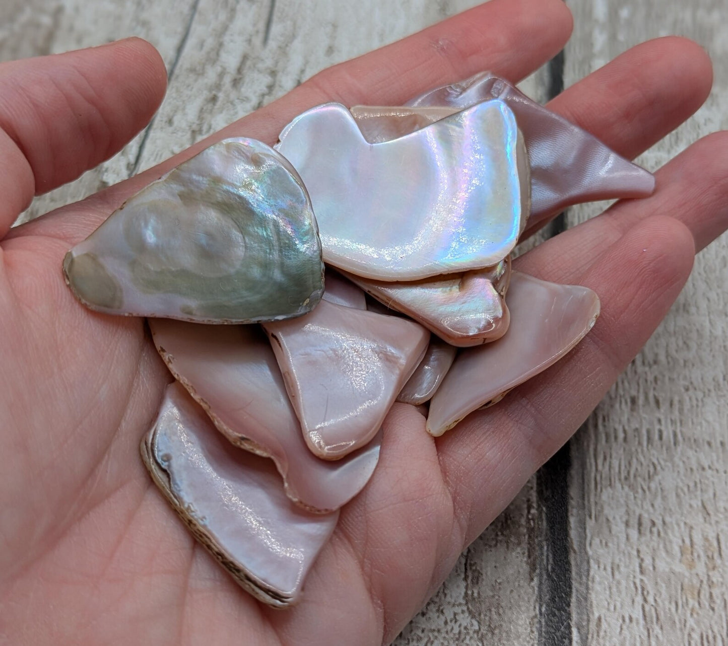 1 large naturally tumbled New Zealand pink freshwater mussel piece.