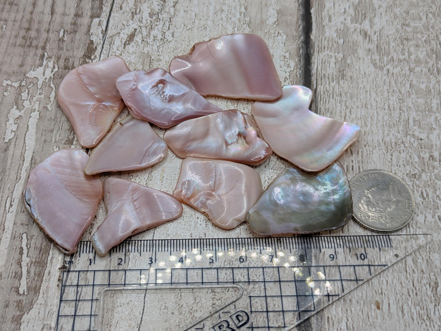 1 large naturally tumbled New Zealand pink freshwater mussel piece.